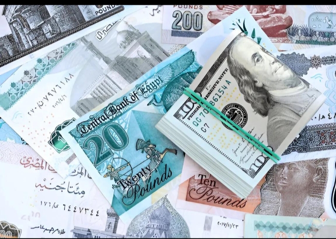 استقرار الدولار واليورو أمام الجنيه المصري في تحديث أسعار العملات اليوم الأحد 19 يوليو 2026