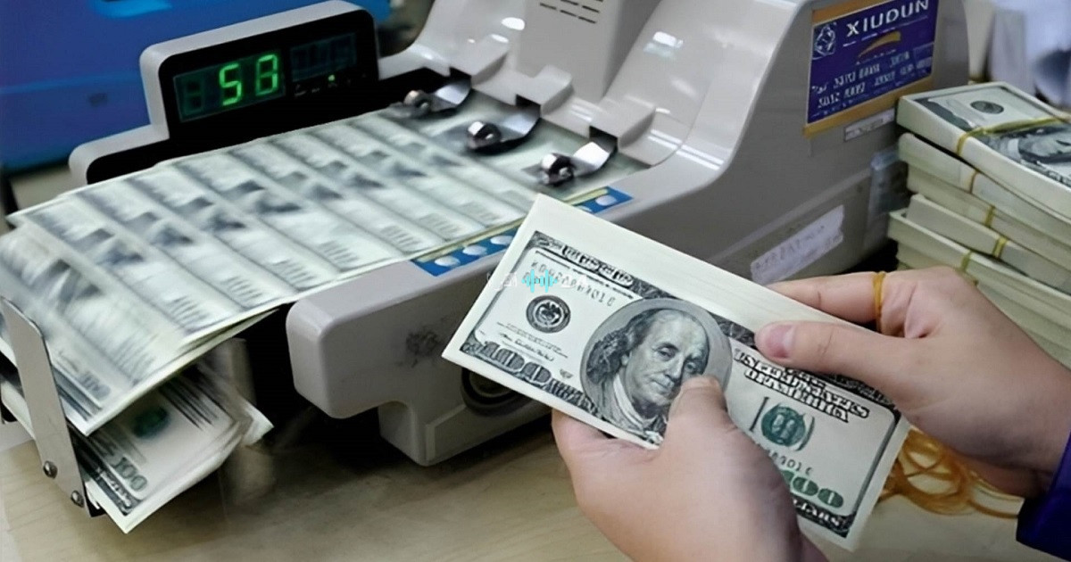 تحديثات أسعار الدولار في الصرافة اليوم الجمعة 7 أغسطس 2026