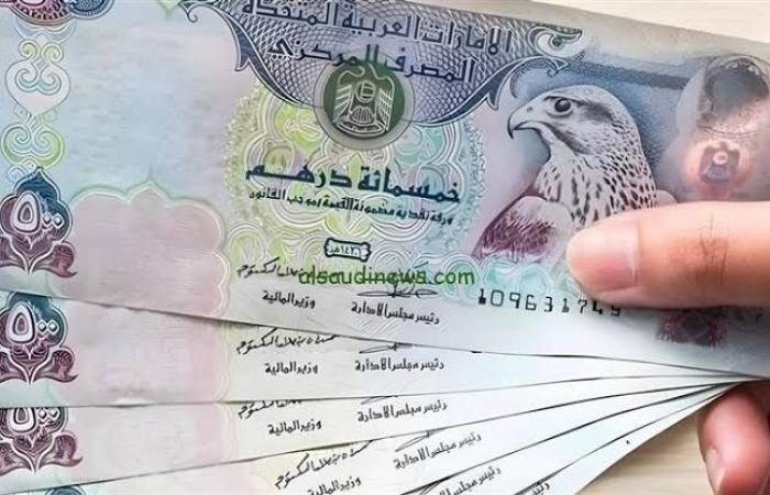 سعر صرف الجنيه المصري مقابل الدرهم الإماراتي اليوم الأربعاء في آخر تحديث