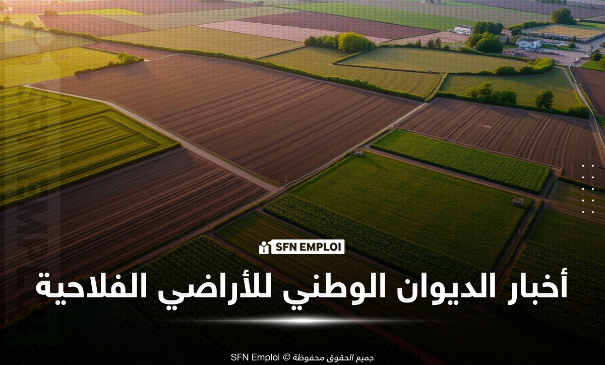 بدء استقبال طعون المحفظة العقارية الفلاحية بسوق أهراس
