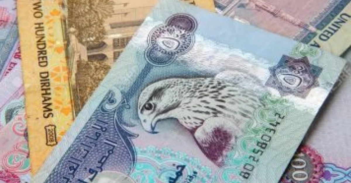 ارتفاع سعر الدرهم الإماراتي أمام الجنيه المصري في البنوك اليوم
