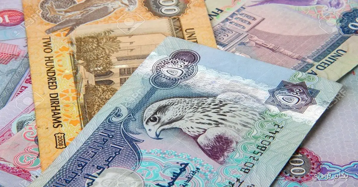 استقرار سعر الريال السعودي مقابل الجنيه اليوم الجمعة 31 يوليو 2026 في البنوك
