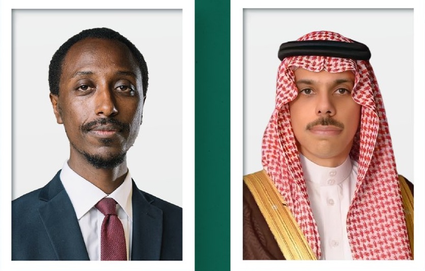 تفاصيل اتصال هاتفي هام بين وزير الخارجية ونظيره الإثيوبي لبحث ملفات شائكة ومستجدات الأوضاع الراهنة
