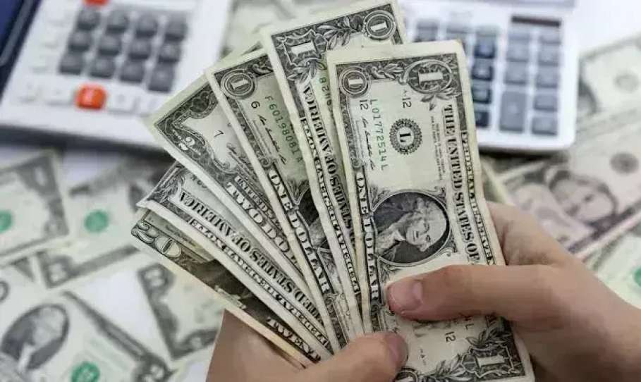 تحركات سعر الدولار أمام الجنيه المصري اليوم الثلاثاء 14 يوليو 2026
تحديثات سعر صرف الدولار مقابل الجنيه المصري الثلاثاء 14 يوليو 2026
أسعار الدولار أمام الجنيه المصري في تعاملات اليوم الثلاثاء 14 يوليو 2026