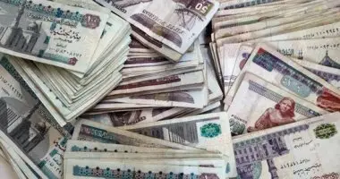 أسعار العملات الأجنبية أمام الجنيه المصري في تعاملات الثلاثاء 25-8-2026