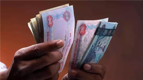 تحديث سعر صرف الدرهم الإماراتي أمام الجنيه المصري في البنك المركزي تعاملات السبت