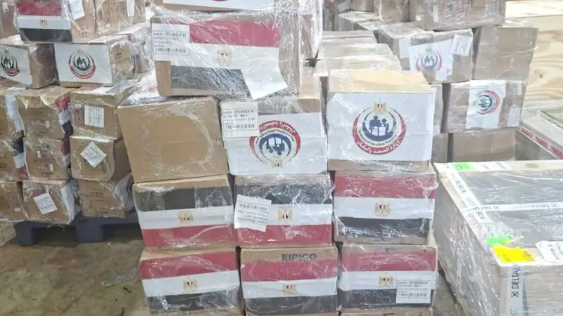 مصر تقدم شحنة أدوية جديدة لدعم القطاع الصحي اللبناني