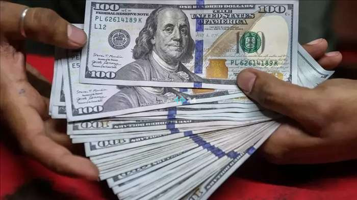 سعر صرف الدولار مقابل الجنيه المصري في ختام تعاملات اليوم 12 أغسطس