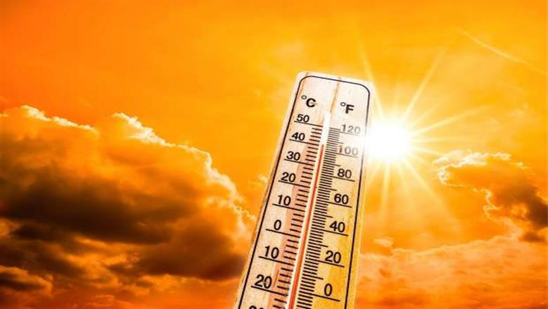 أفضل مشروب لترطيب الجسم في ذروة موجات الحر