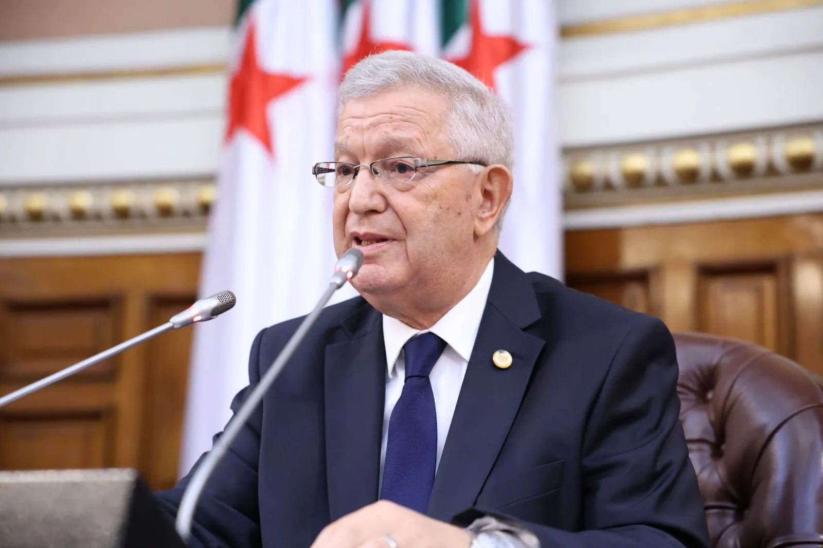 الناصري يحيي ذكرى 20 أوت محطة فارقة في مسار ثورة نوفمبر المجيدة