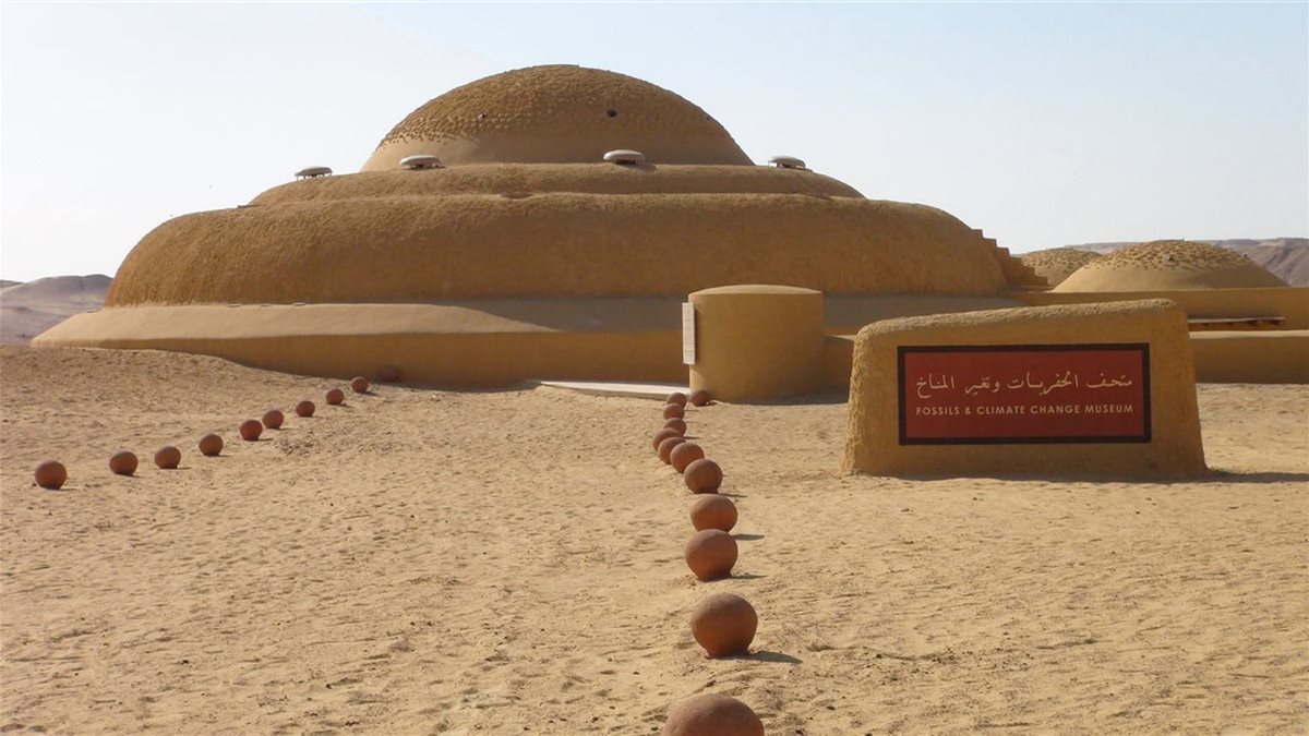وادي الحيتان بالفيوم متحف طبيعي يختزل تاريخ ملايين السنين