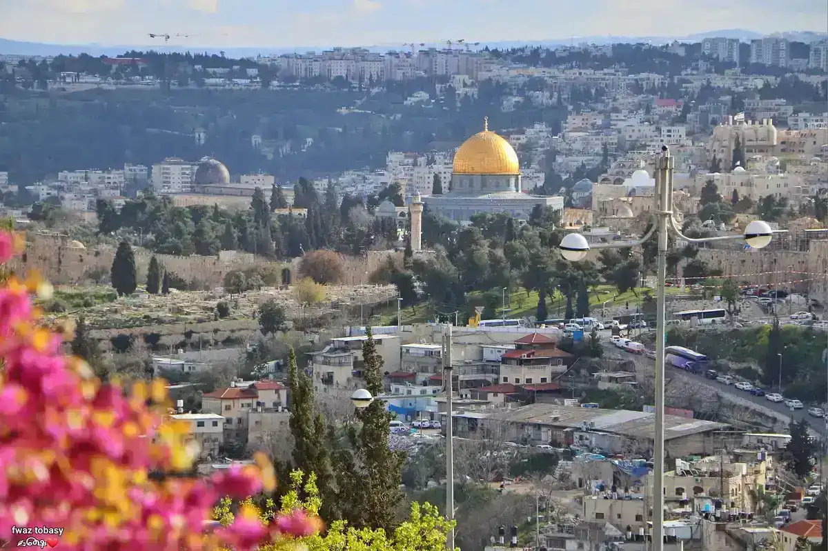 تحذيرات من الشمس ومخاطر الحرائق في توقعات طقس فلسطين اليوم وغدا