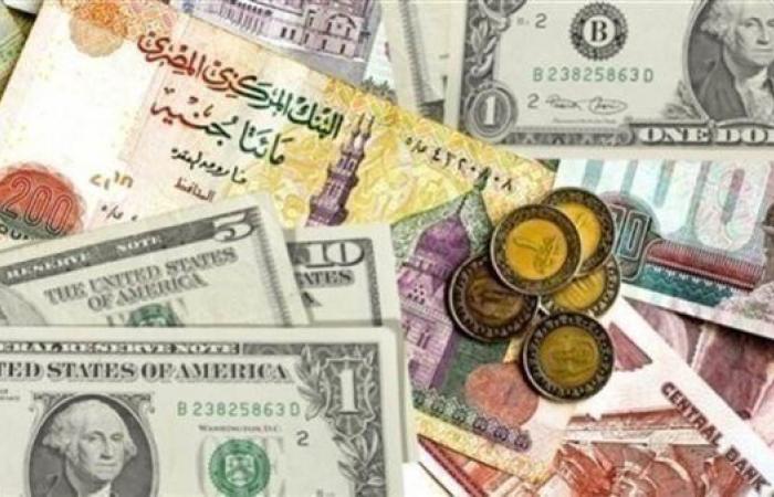 تحديث أسعار الدولار واليورو والدينار الكويتي مقابل الجنيه المصري اليوم في البنك المركزي