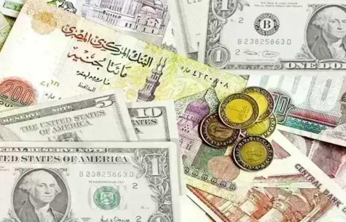 تحديث أسعار العملات الأجنبية في البنوك اليوم الإثنين 3 أغسطس 2026