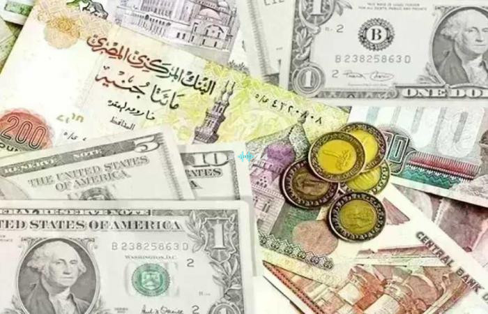 أسعار صرف العملات الأجنبية في البنوك اليوم الخميس 6 أغسطس 2026