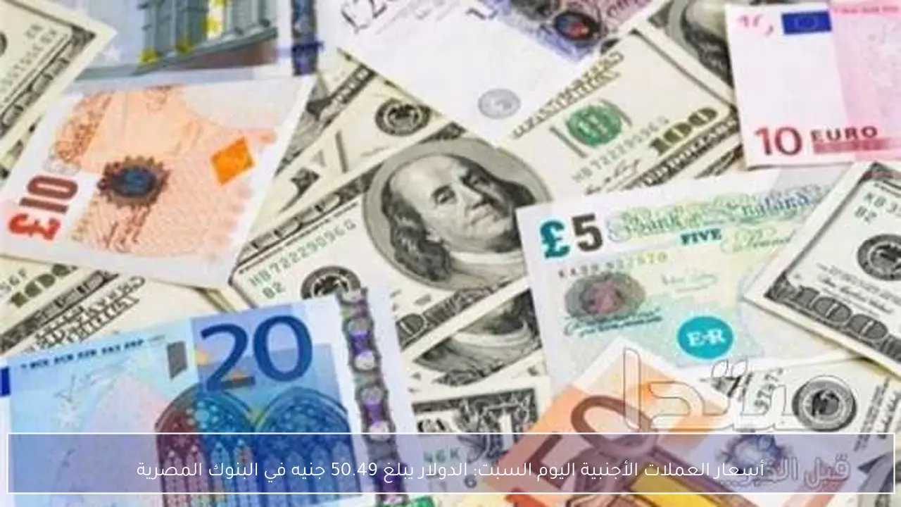 تحديث أسعار العملات اليوم السبت والدولار يسجل 50.49 جنيه بالبنوك المصرية