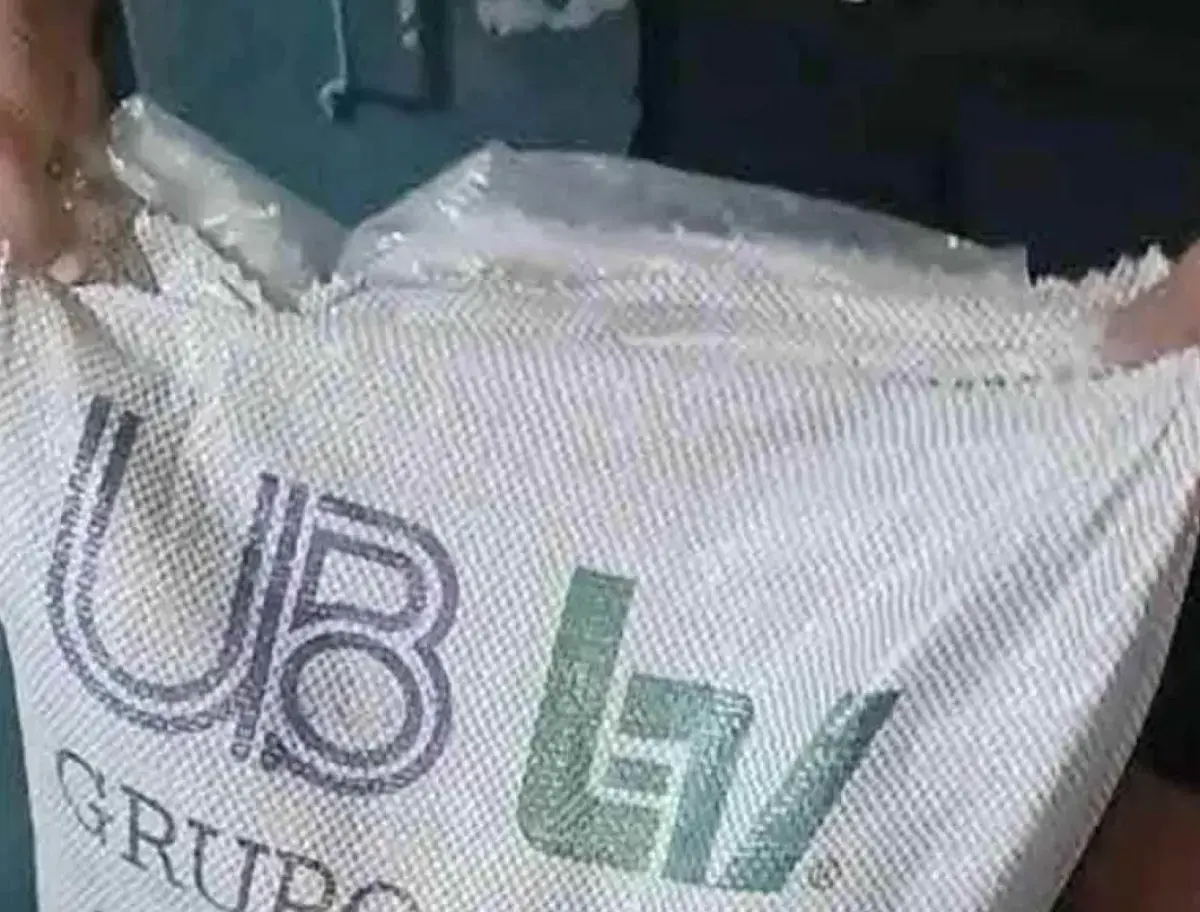 السكر البرازيلي الملوث بالمعادن الثقيلة يحول آلاف خلايا النحل إلى مقابر جماعية في كارثة بيئية مروعة