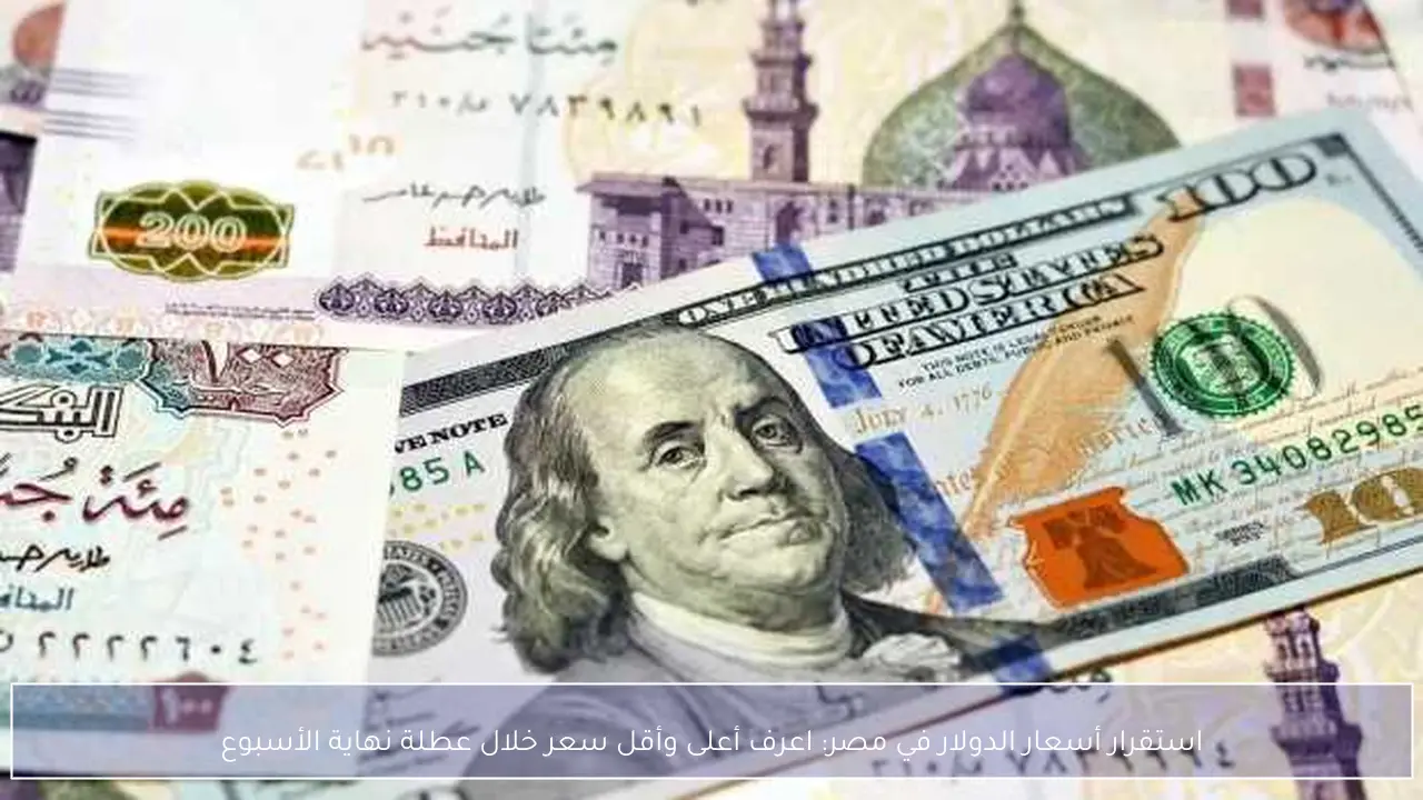 استقرار أسعار الدولار في مصر وأبرز مستوياته خلال عطلة نهاية الأسبوع