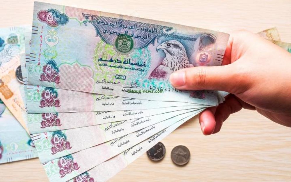 استقرار سعر صرف الدرهم الإماراتي مقابل الجنيه المصري في البنوك اليوم