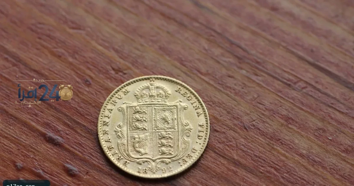سعر الفراخ البيضاء اليوم الثلاثاء 6 أكتوبر 2026 يلامس 94 جنيهًا في جولة الظهيرة
