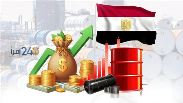 خبير اقتصادي يؤكد أهمية تعزيز مصادر النقد الأجنبي والطاقة لمواجهة الصدمات الخارجية