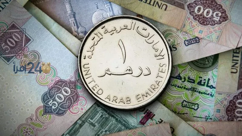 استقرار سعر الدرهم الإماراتي أمام الجنيه المصري في البنوك الأربعاء 14 أكتوبر 2026