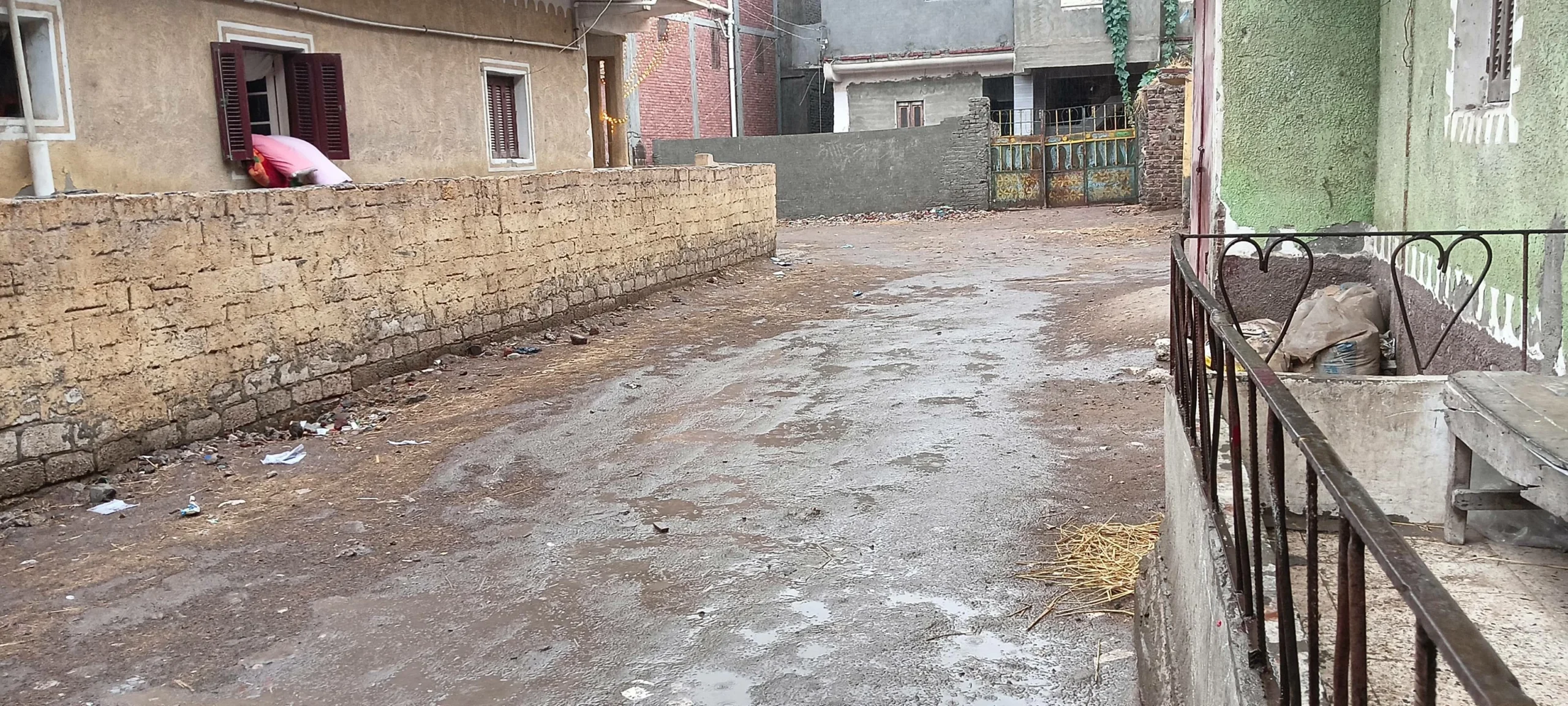 تساقط الأمطار يعمق المشهد في كفر الشيخ