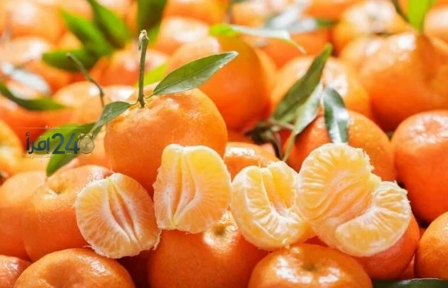 تناول اليوسفي يومياً يغير حياتك الصحية فوائد سبع تجعله من الأطعمة الضرورية