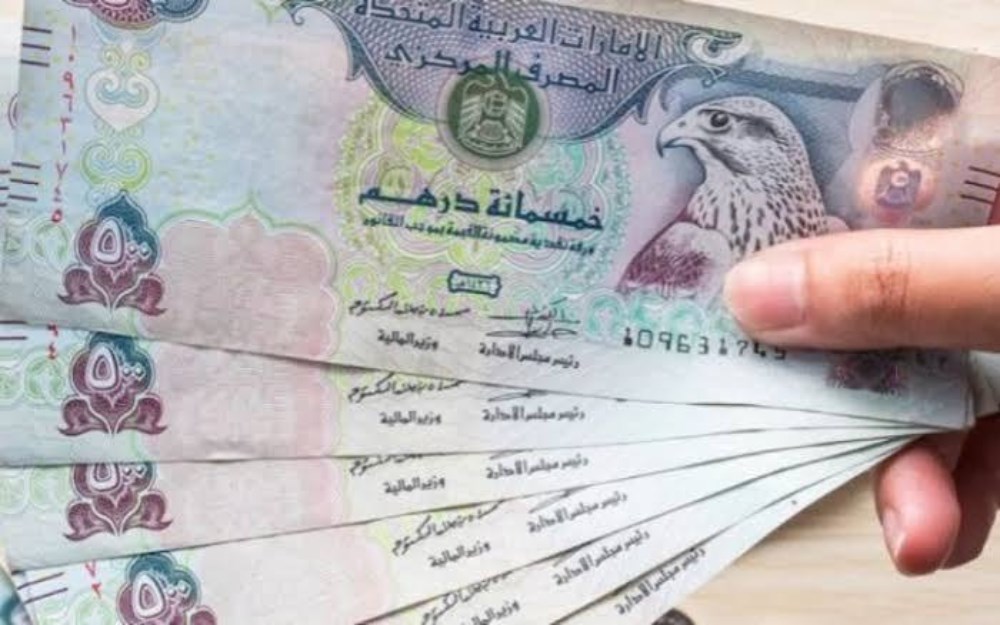 سعر الدرهم الإماراتي مقابل الجنيه المصري يتغير اليوم