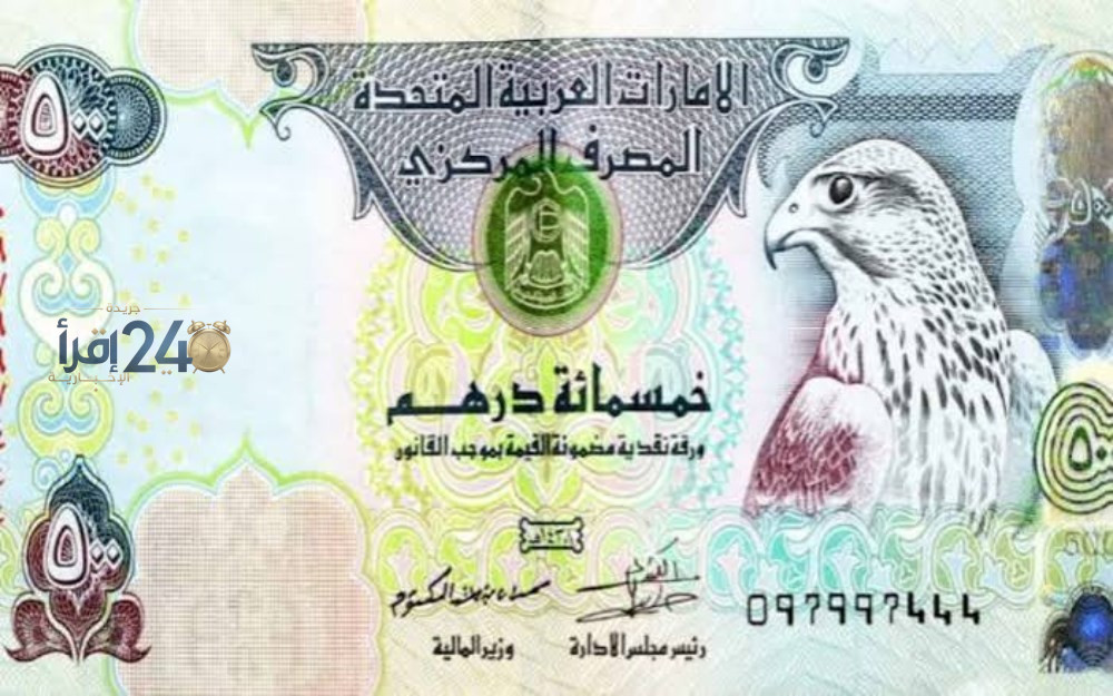 سعر الدرهم الإماراتي مقابل الجنيه المصري يتذبذب حسب تحديثات السوق البنكية الأخيرة