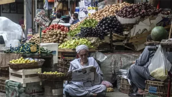 موجة غلاء جديدة تضرب سوق الغذاء للمرة الثانية في 2026 وخبراء يحذرون من تهديد ضغوط التكلفة لاستقرار الأسعار