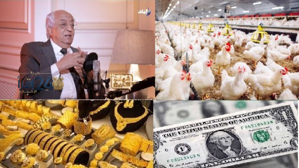 وزير الداخلية الأسبق يكشف خروقات الإخوان في انتخابات 2012 ومنع المسيحيين من التصويت ويفتح ملف الذهب والدولار وحالة الطقس