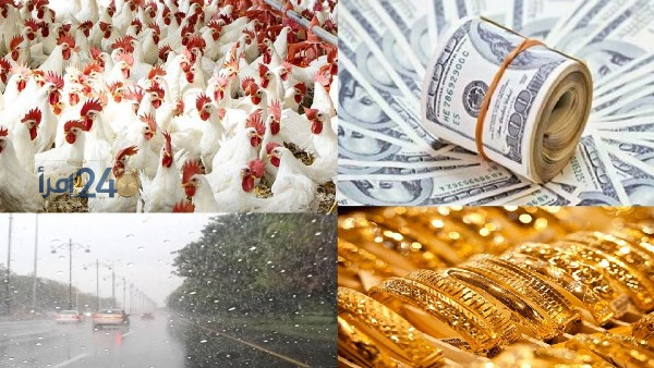 توقعات وتطورات في سوق الدواجن والتوريدات التموينية مع اقتراح خصم 25 بالمئة ومفاجأة حول أسعار الذهب والدولار