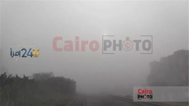 حالة الطقس في مصر اليوم السبت تشمل شبورة مائية وأمطار خفيفة