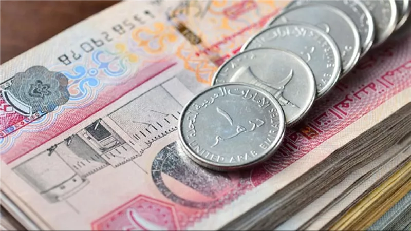 سعر الدرهم الإماراتي مقابل الجنيه المصري في البنوك خلال تعاملات اليوم الإثنين