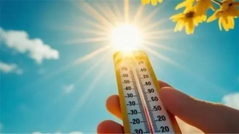 الأرصاد تحذر من الشبورة والأمطار اليوم الأحد وتوضح حالة الطقس والظواهر الجوية