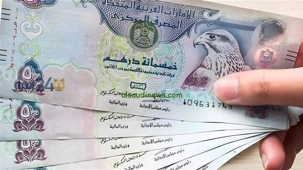 سعر الدرهم الإماراتي مقابل الجنيه المصري في البنك المركزي مساء اليوم الأحد