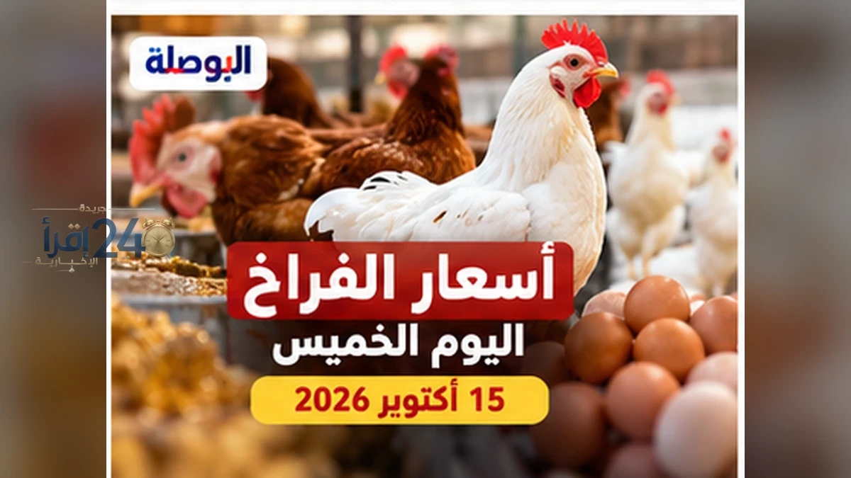 أسعار الفراخ في السوق المحلية الخميس 15 أكتوبر 2026