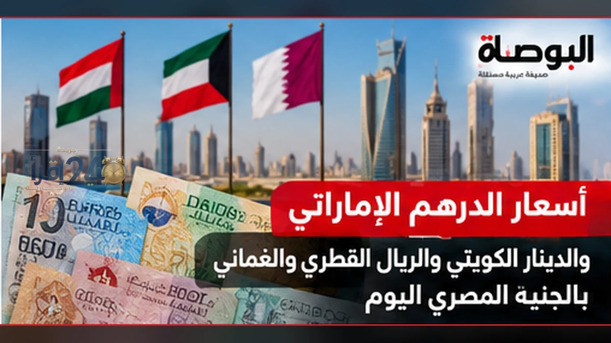 سعر الدرهم والدينار والعملات الخليجية مقابل الجنيه المصري يتغير وفقًا للتقلبات السوقية