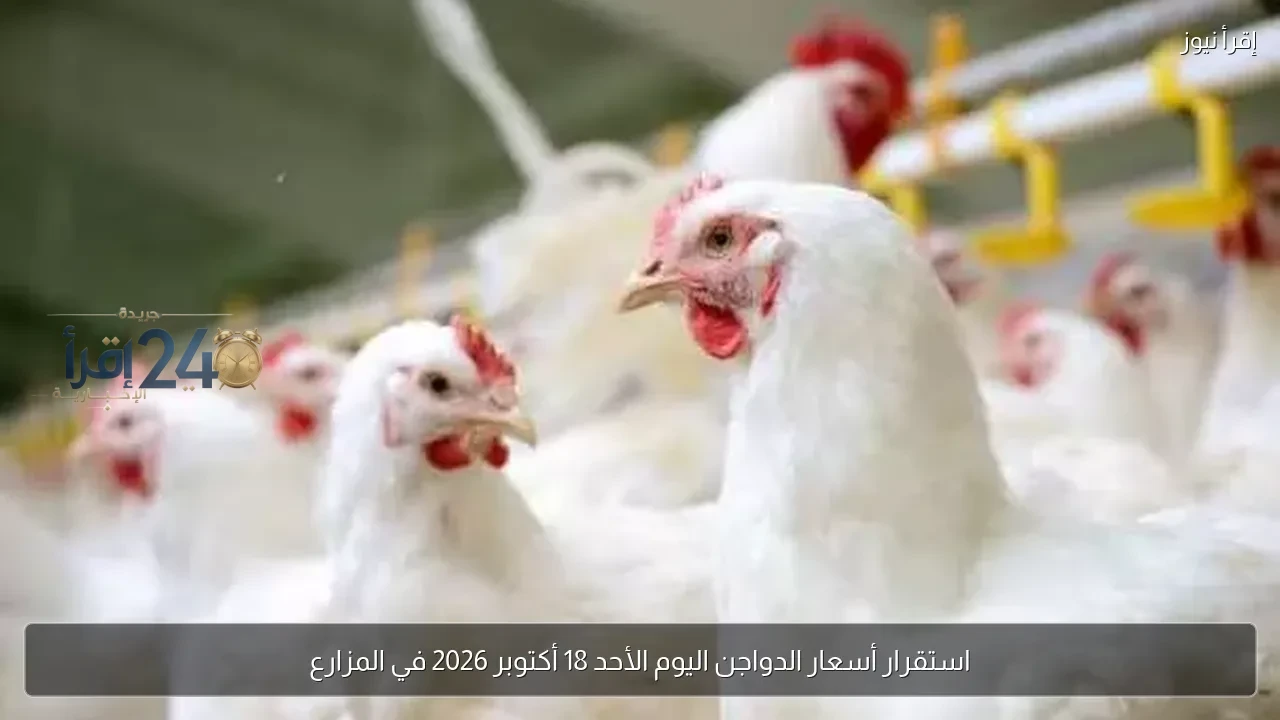 استقرار أسعار الدواجن في المزارع ليوم الأحد 18 أكتوبر 2026