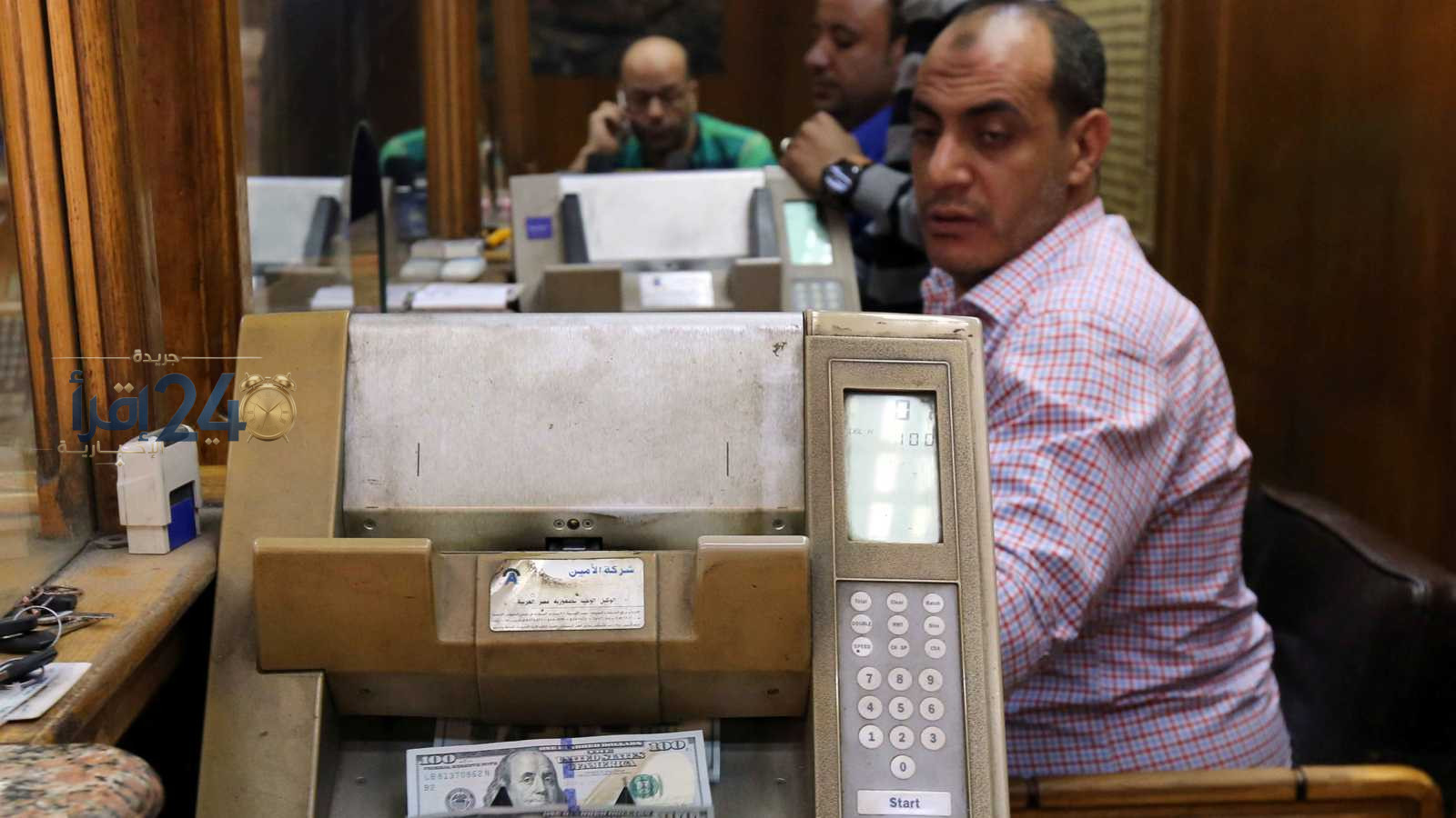 استقرار سعر الدولار أمام الجنيه في السوق المصري للأسبوع الجاري