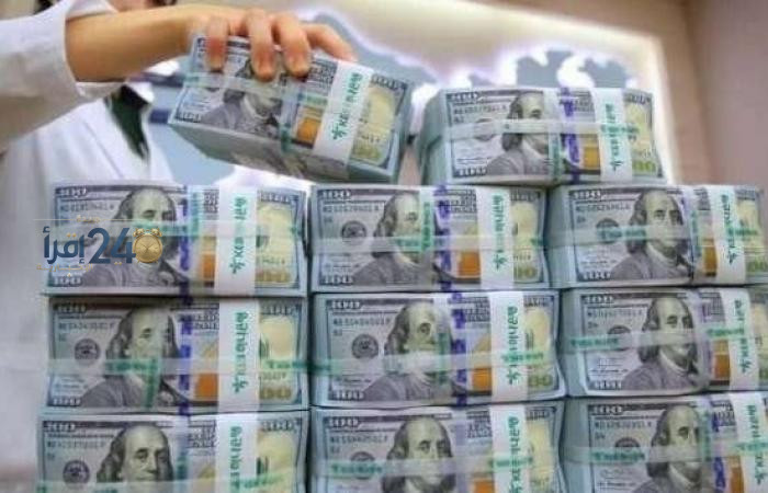 تحديثات سعر الدولار مقابل الجنيه المصري اليوم الإثنين 12 أكتوبر 2026 في البنك الأهلي