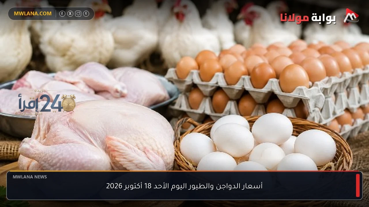 أسعار الدواجن والطيور اليوم الأحد 18 أكتوبر 2026