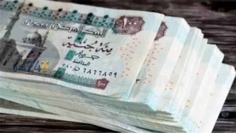 المالية تفاجئ الموظفين وتعلن عن مبادرة تبكير موعد صرف مرتبات أكتوبر 2026 بشكل مفاجئ ومثير للجدل