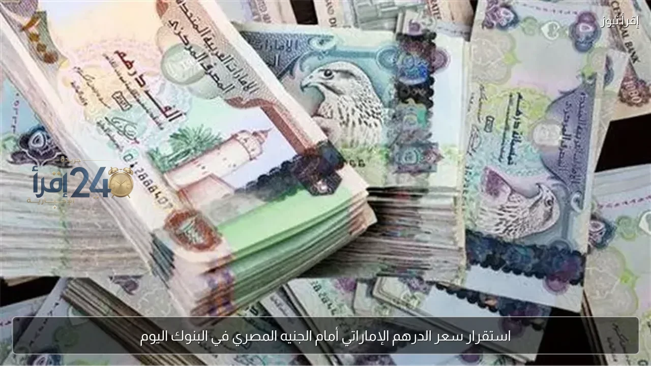 استقرار سعر الدرهم الإماراتي مقابل الجنيه المصري في البنوك اليوم