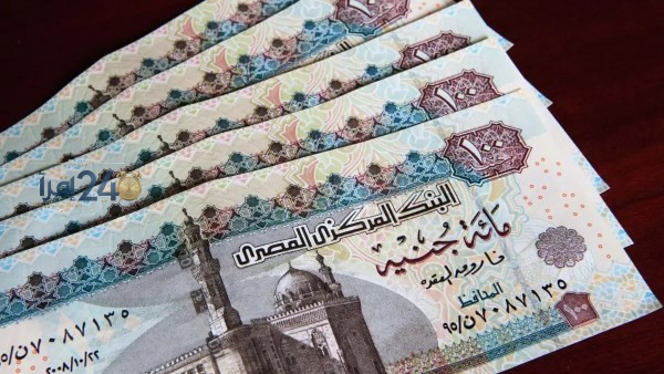 موعد صرف معاش تكافل وكرامة لشهر أكتوبر 2023 وخطوات الاستعلام عبر الرقم القومي بسهولة