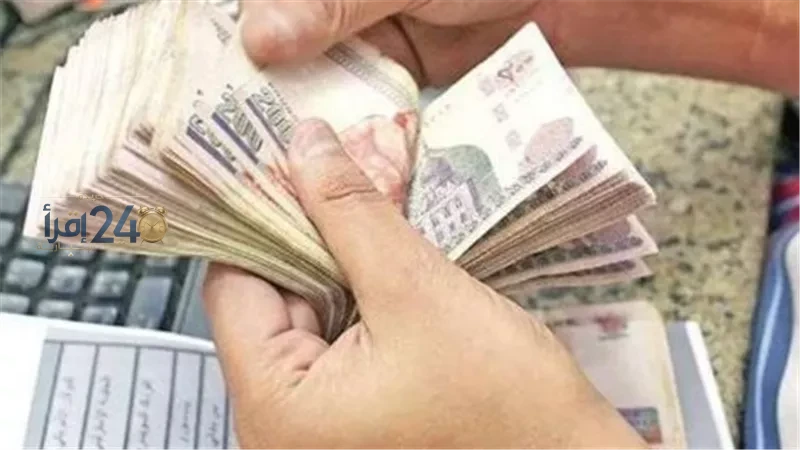 موعد صرف معاشات شهر نوفمبر 2026 والتعرف على التفاصيل الأساسية للصرف المراحل والأساليب الجديدة للعمليات المالية